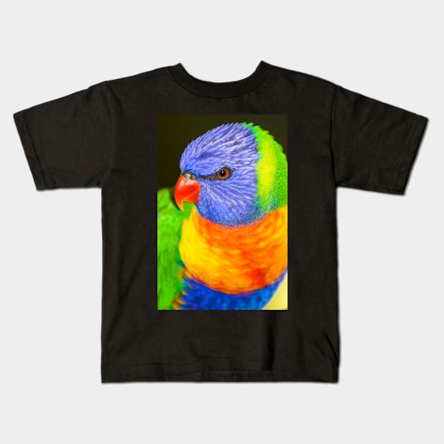 Rainbow Lorikeet Kids T-Shirt by Upbeat Traveler